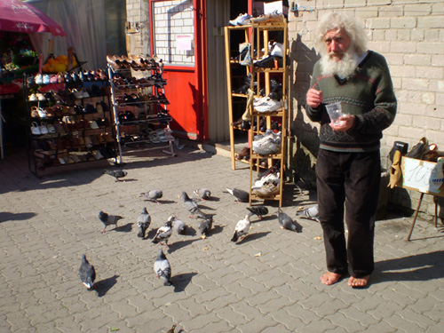 Bird feeder in Jaama turg, Tallinn.