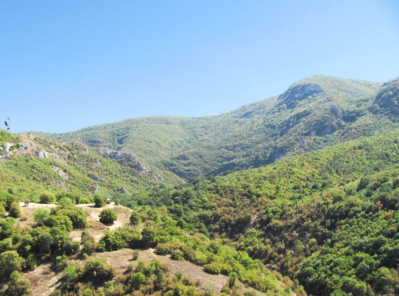 Green hills in Sokobanja.