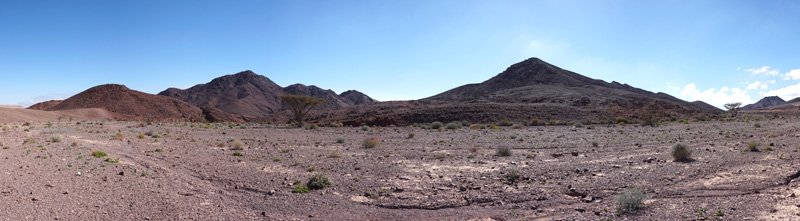 View on desert